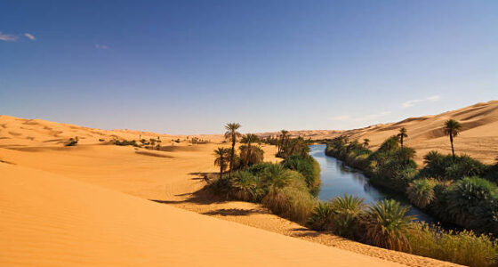 Témoignage de Guy DUMAS,  » mes 20 ans au Sahara »
